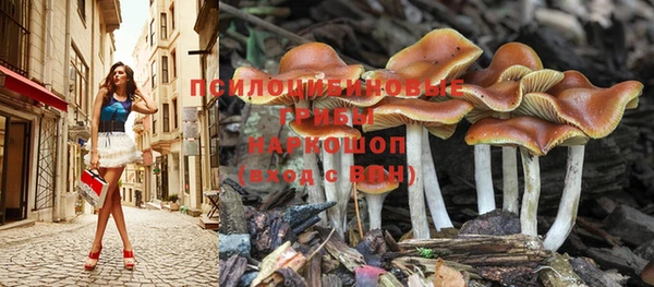 марки lsd Баксан