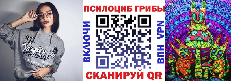 Псилоцибиновые грибы Cubensis  Гудермес 